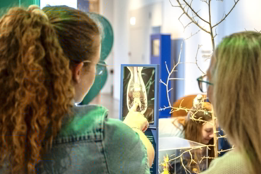  © schwarzpictures.com