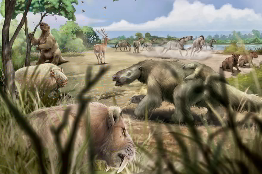  © schwarzpictures.com