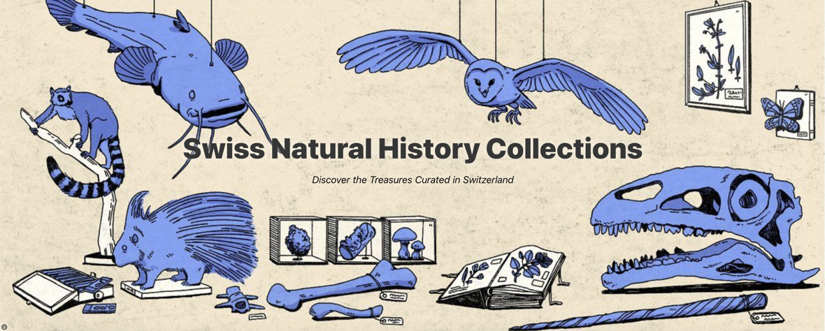 © NMBE / Lisa Schäublin