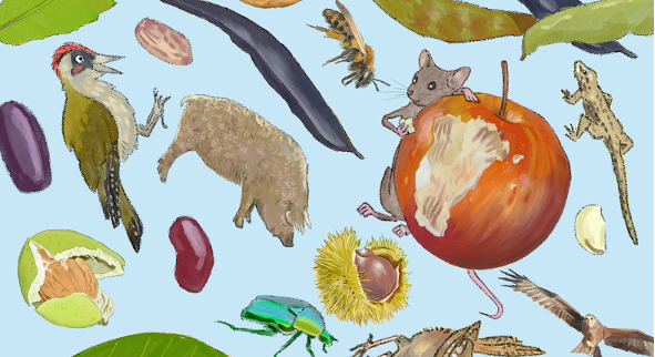 Titelbild App Biodivers