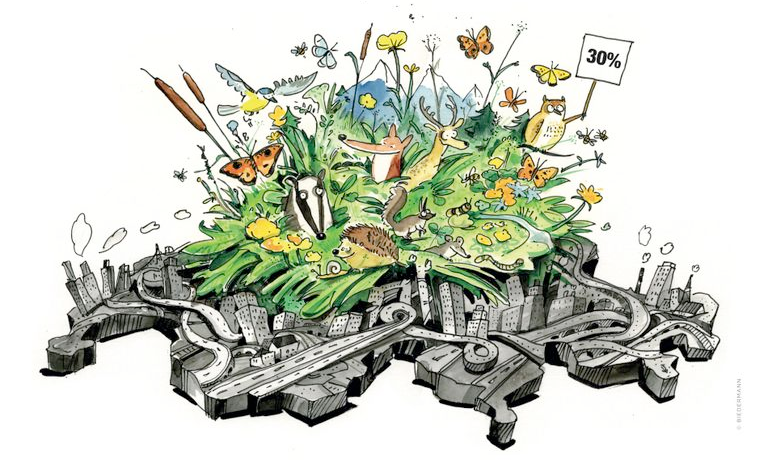 (c) Christoph Biedermann