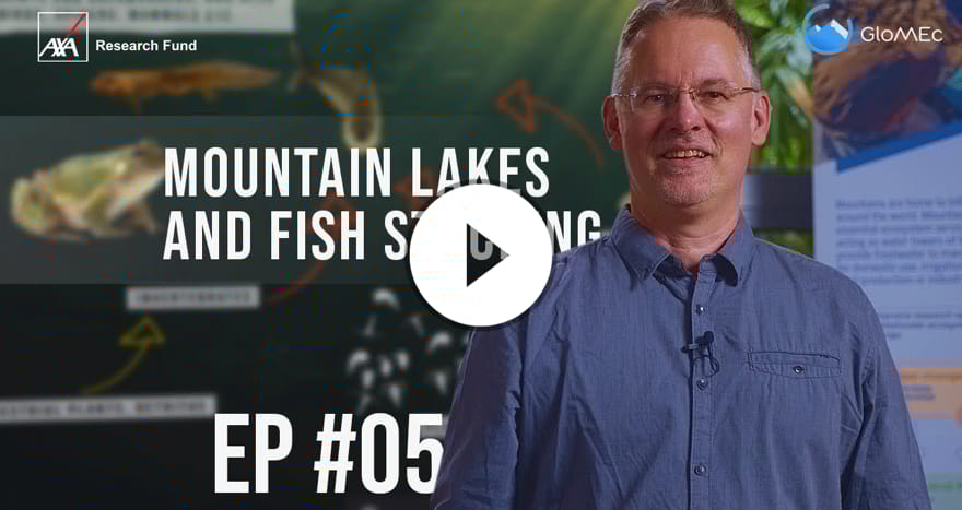 Mountains - Fish, a Detrimental Force (EP5)