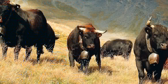 30. Intern. Alpwirtschaftstagung IAT