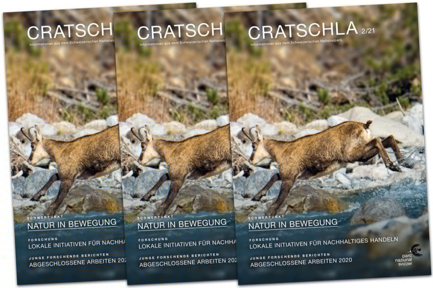 
Foto von Cristian Dina von Pexels