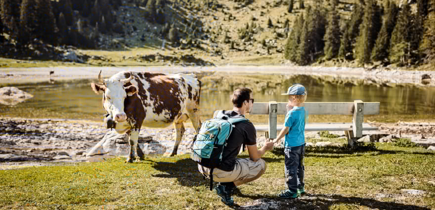 Naturpark Gantrisch, c)Schweiz Tourismus 