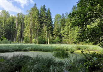 Bild: Moille Saugeon