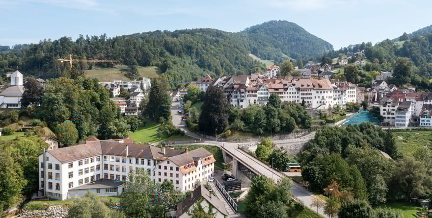 Lichtensteig. Bild: Christian Beutler/Keystone/Schweizer Heimatschutz)