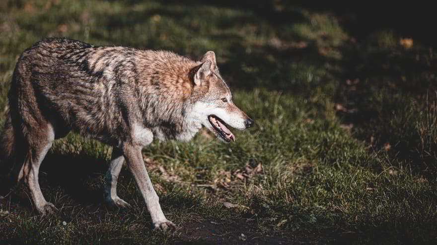 Quelle: Foto von Anna Hinckel von Pexels