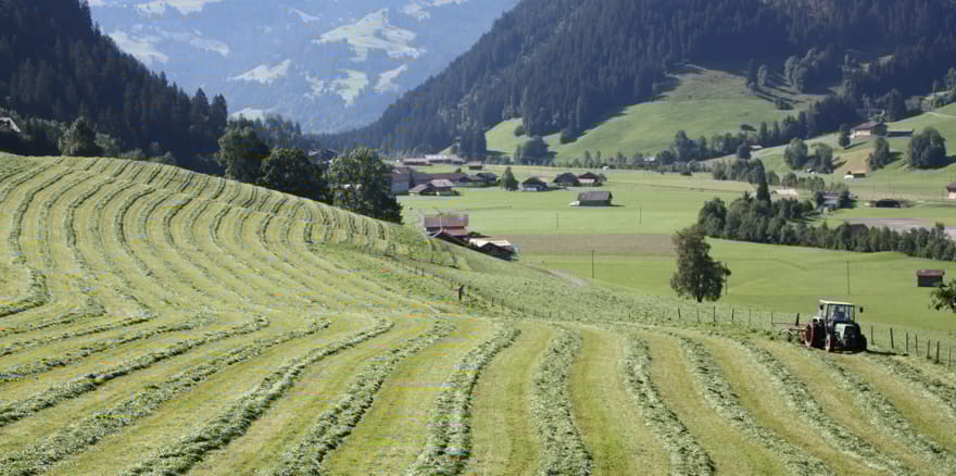 Landwirtschaft, Foto: Anne-Catherine Minnig