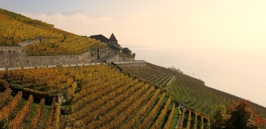Lavaux Pixabay