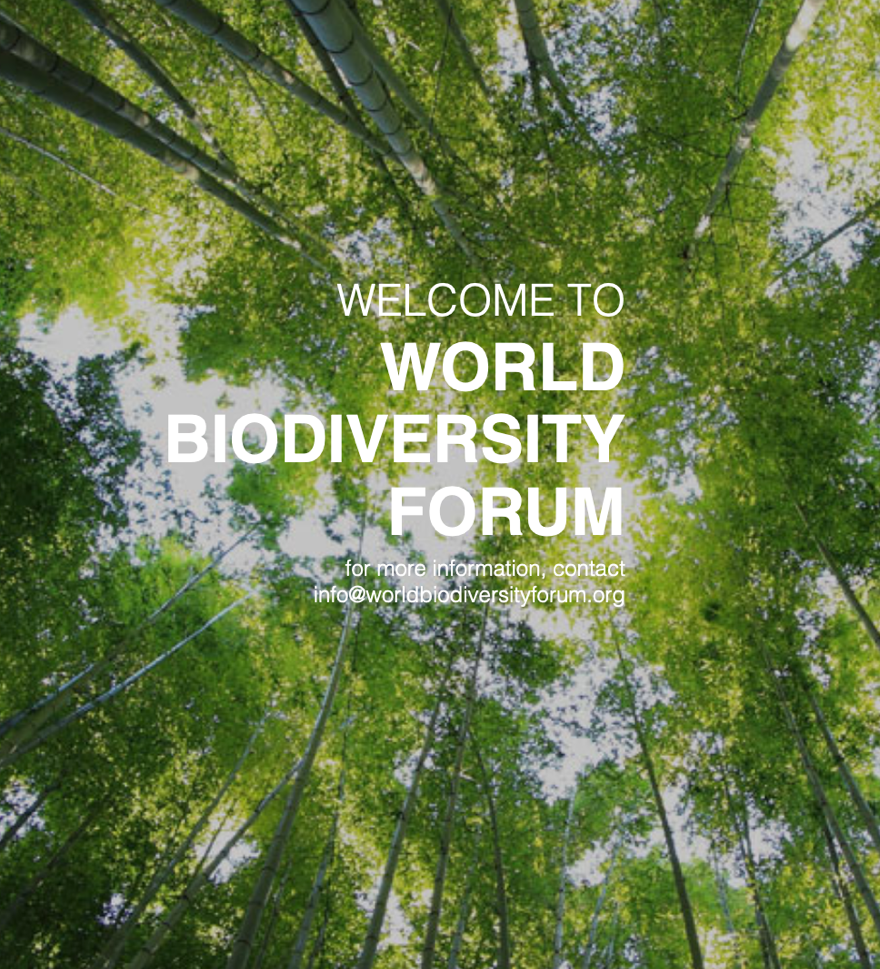 Swiss Geoscience Meeting