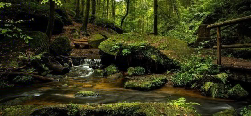 Pexels_Brücke Fluss