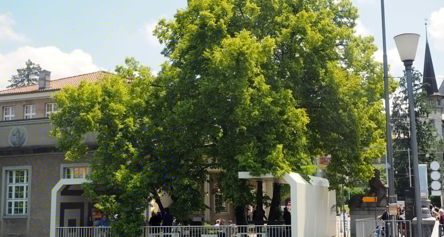 210902_mm_gruenstadt_Naturnahe_Pflege_Quartierpark_Pfingstweid