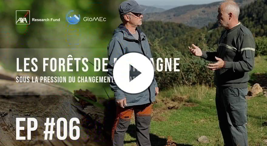 Les forêts de montagnes - les enjeux de gerer des forêts (EP 6)