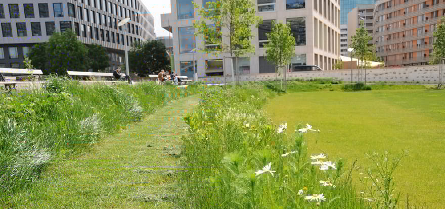 210902_mm_gruenstadt_Naturnahe_Pflege_Quartierpark_Pfingstweid