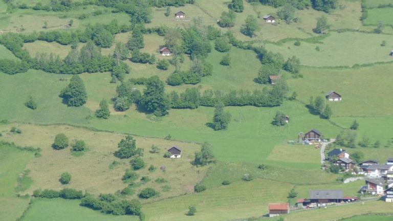 Heckenlandschaft Schwändi/Thon